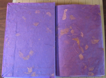 Inside cover and end paper of Thai mango paper